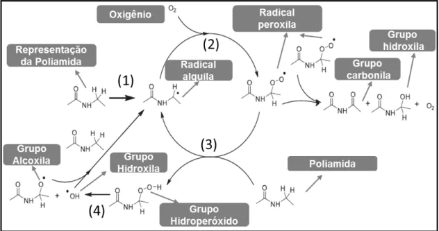 Figura  2-5:  Mecanismo  básico  de  degradação  termo-oxidativa  de  poliamidas  alifáticas