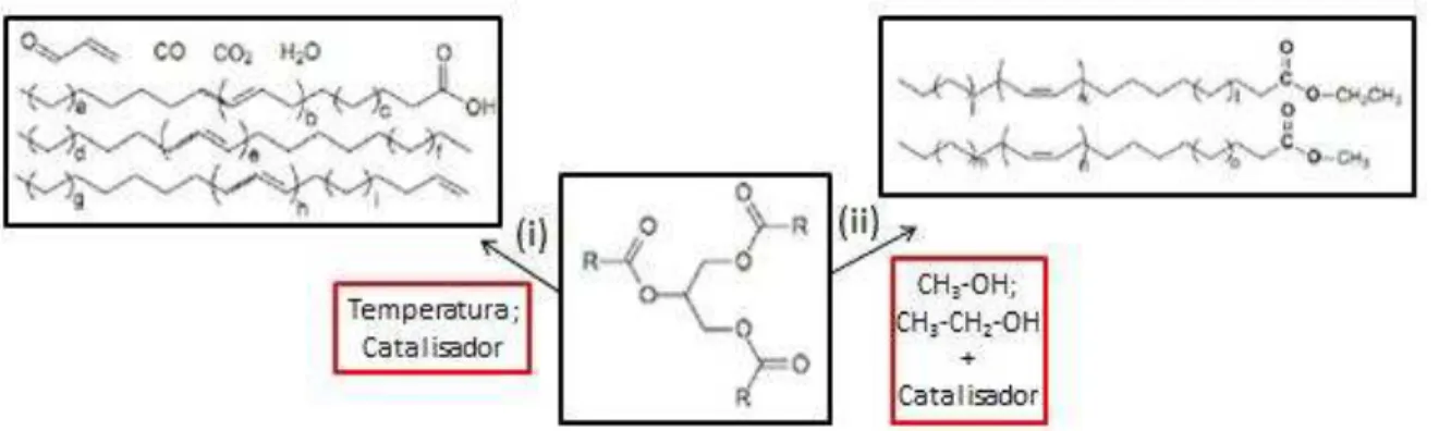 Figura 2.2 – Combustíveis líquidos obtidos a partir de triacilglicerídeos pelas reações de: (I) craqueamento e (II)  transesterificação