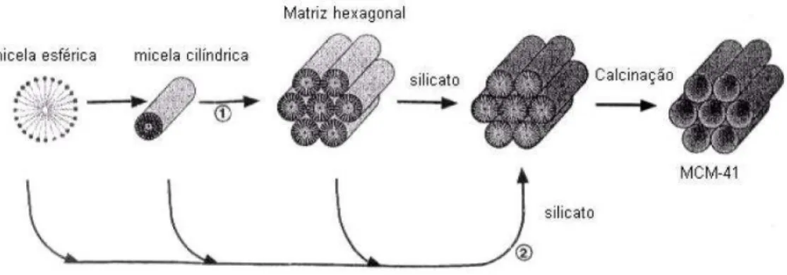 Figura 2.10 - Mecanismo de formação da estrutura hexagonal do MCM-41.  Fonte: Beck et al (1992) 