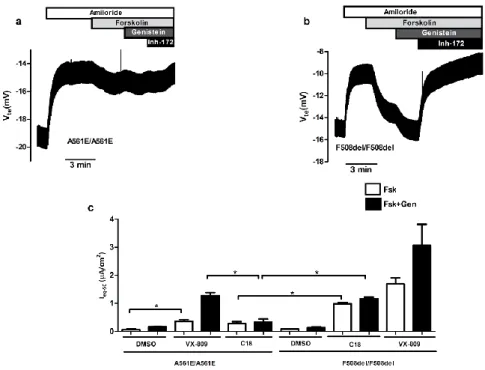 Figure III.1.4 - Original tracings and summary of the effect of C18 in  A561E/A561E and F508del/F508del  primary HBE cells