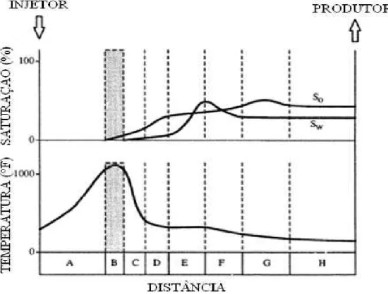 Figura 2.4: Perfis de temperatura e saturação e distribuição das zonas formadas durante um  processo de combustão direta (Chicuta, 2009)