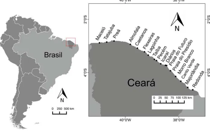 Figura  3  -  Mapa da localização geográfica das 17 praias estudadas, ao longo do litoral do Estado do Ceará,  Brasil