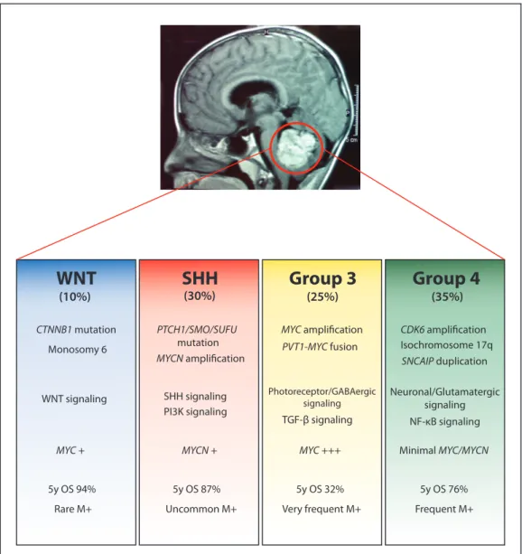 Figure 1.1: Features of the four medulloblastoma subgroups, including molecular genetics  and clinical outcome