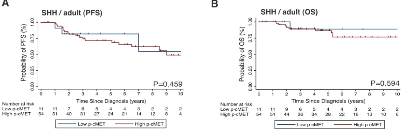 Figure 2.9: Prognostic impact of p-cMET status in adult SHH medulloblastomas. 