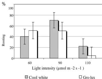 Fig. 2. Rooting of P. pinea microshoots under different light quality and intensity. See  significance in the Duncan Range test above