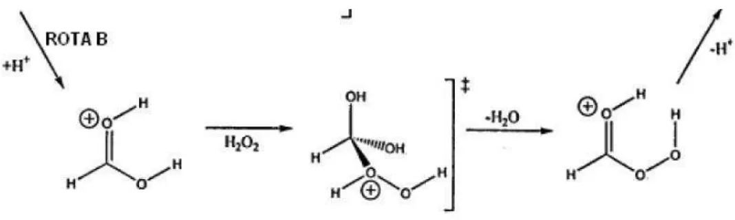 Figura 5: Mecanismo de reação da formação do perácido. 