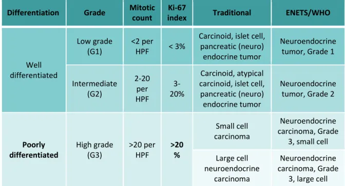 Tabela 1 – Classificação dos Tumores Neuroendócrinos segundo a Organização Mundial de Saúde 