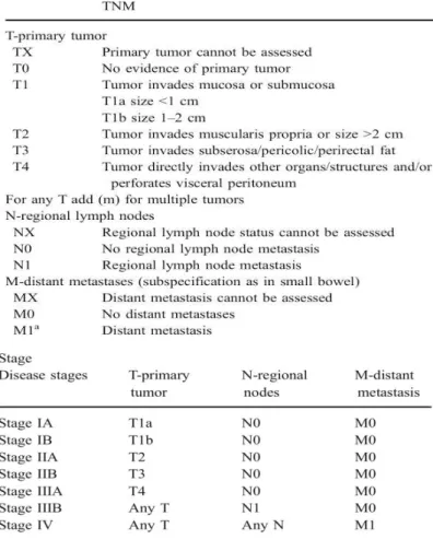 Tabela 2 – Estadiamento TNM dos Tumores Neuroendócrinos do recto 