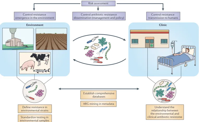 Figure 1 | Minimizing the spread of antibiotic resistance in the environ- environ-ment