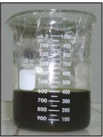 Figura 18: Mistura solvente mais óleo, mas com uma maior concentração de  óleo. 