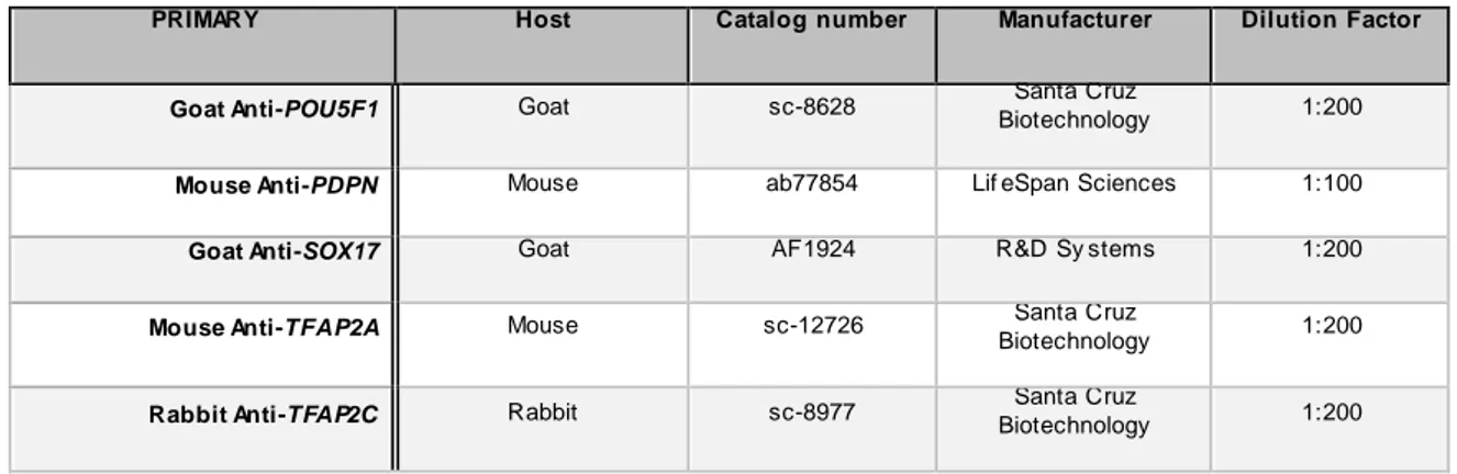 Table  2.6.1. Primary antibodies used for immunofluorescence on coverslips seeded with hESCs