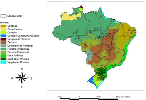 Figure  3.3.  IBAMA  general  biomes  classification  map  for  Brazil  and  the  location  of  the  16  Landsat ETM+ scenes listed in Table 3.3