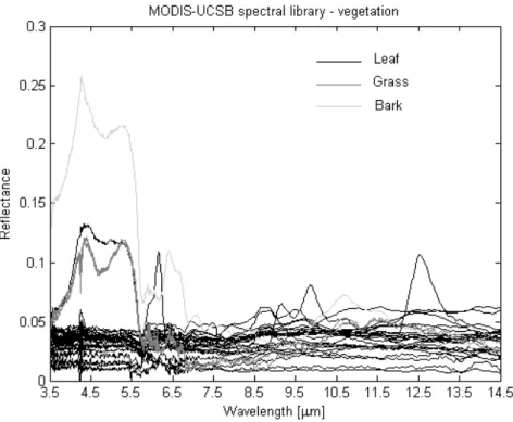Figure 3.7. Spectral signature of vegetation from MODIS-UCSB spectral library. 