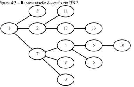 Figura 4.2 – Representação do grafo em RNP 