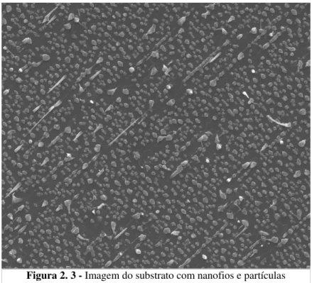 Figura 2. 3 - Imagem do substrato com nanofios e partículas  coalecidas. 
