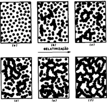 FIGURA 1  – Representação da evolução da gelatinização com o aumento da fração de microgel  ( HIRATSUKA  et al., 1995)