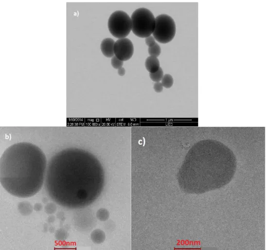 FIGURA 14  –  Micrografias obtidas por: a) modo STEM, do FEG-MEV do sistema M1 (1d), b) e c)  imagens de campo claro  obtidas por MET do sistema M1 (1d) 