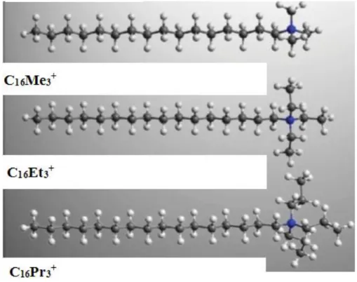 Figura 3.10: Representação esquemática das moléculas dos surfactantes C 16 Me 3 Br, C 16 Et 3 Br e  C 16 Pr 3 Br