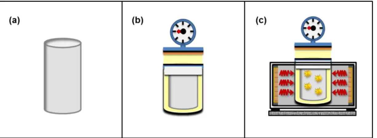 FIGURA 3.1  –  Representação esquemática do sistema HAM. (a) Copo reacional, (b)  Célula de hidrotermalização e (c) Sistema HAM