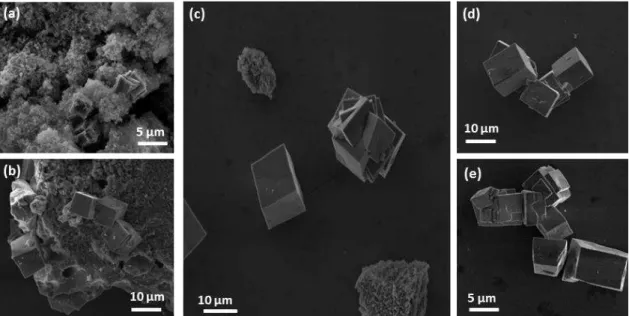 FIGURA 4.3  –  Micrografias de MEV-FEG dos pós de CaTiO 3  sintetizados pelo HAM  a 140 °C por (a) 2, (b) 4, (c) 8, (d) 16 e (e) 32 min