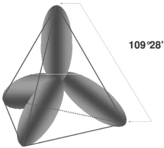 Figura 10 -  Ilustração da ligação tetragonal plana σ do átomo de carbono. 