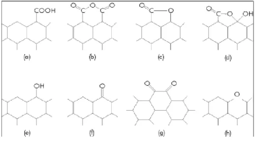 Figura  20  -  Possíveis  dos  grupos  funcionais  nas  arestas  de  carbono:  grupos  carboxilas  (a)  podem resultar em anidridos carboxílicos (b) se esses grupos são adjacentes