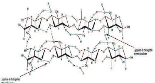 Figura 3 – Interações de ligação de hidrogênio nas moléculas de celulose. 