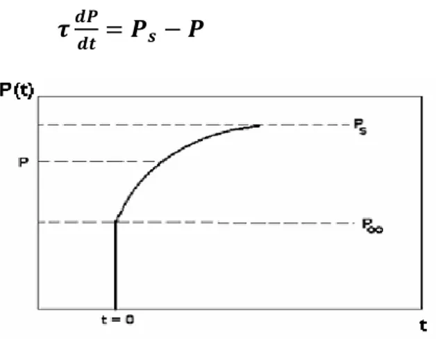Figura 3 Dependência temporal da polarização em um dielétrico após a aplicação de um campo elétrico  em  t  = 0 [11]