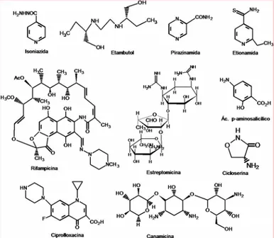 FIGURA 1.2 – Alguns dos principais fármacos utilizados no tratamento da TB. 