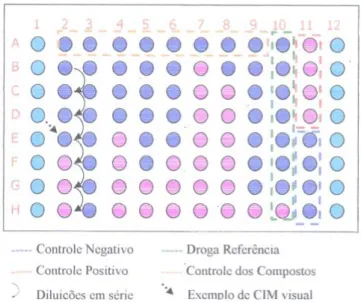 FIGURA 3.6- Exemplo de um resultado de MIC obtido através da técnica de REMA. 