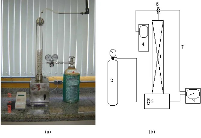 Figura 3.2 Coluna de absorção gasosa e esquema com acessórios. (1) coluna; (2) cilindro de  gás; (3) analisador de gás; (4) medidor de vazão; (5) válvula reguladora de vazão; (6) válvula 