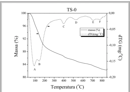 Figura 5.8.  Termograma e sua derivada do material TS (não calcinado) em  atmosfera inerte