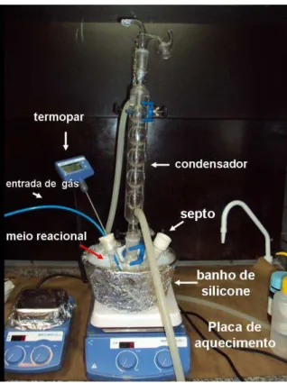 FIGURA 3.2: Foto do aparato experimental usado na síntese das nanopartículas de ZnSe recobertas  por LAcisteína