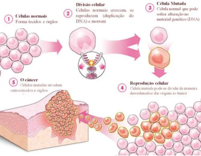 Figura 1.3: Representação da mutação celular que dá origem ao câncer [5]