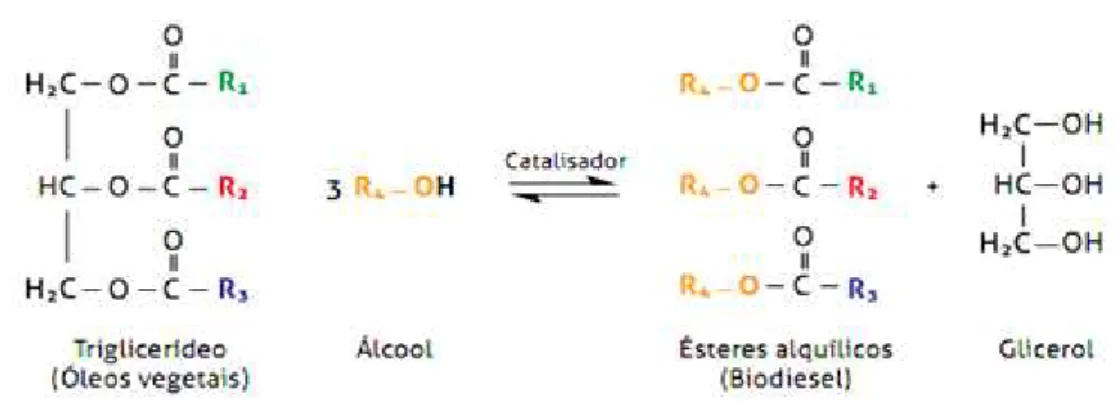 Figura 3.1. Representação da reação de transesterificação para produção do biodiesel. 