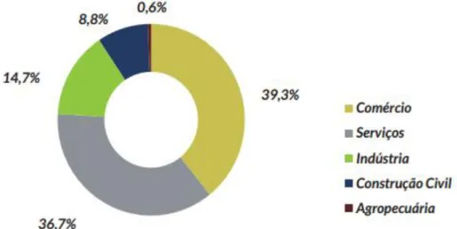 Gráfico 6  –  Distribuição de MEI por grande setor 