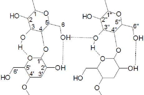 Figura 2 - Representação das ligações inter e intramoleculares nas cadeias  de celulose 