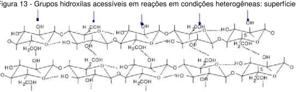 Figura 13 - Grupos hidroxilas acessíveis em reações em condições heterogêneas: superfície 