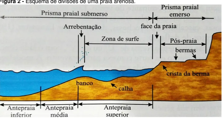 Figura 2 - Esquema de divisões de uma praia arenosa. 