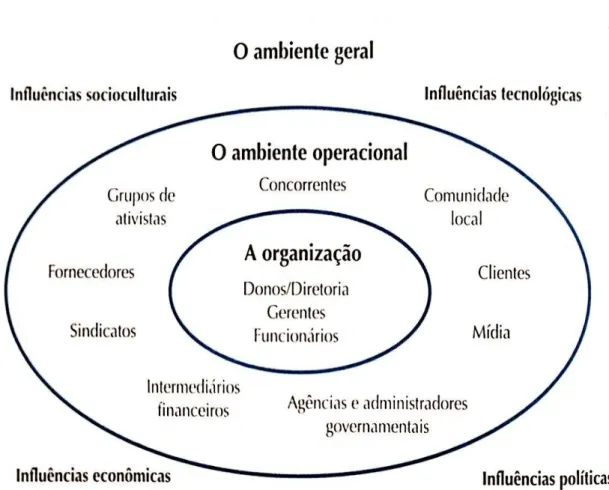 Figura 2 - A organização, seus PIs primários e o ambiente geral. 