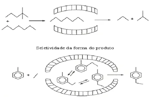 Figura  3.6  Representação  sistemática  da  seletividade  da  forma  dos  reagentes  e  dos  produtos  nos  zeólitos,  retirado  de  P.Espeel  et  al