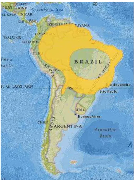 Figura 8: Distribuição geográfica do Artibeus planirostris (em amarelo).  (Fonte: The IUCN Red List)