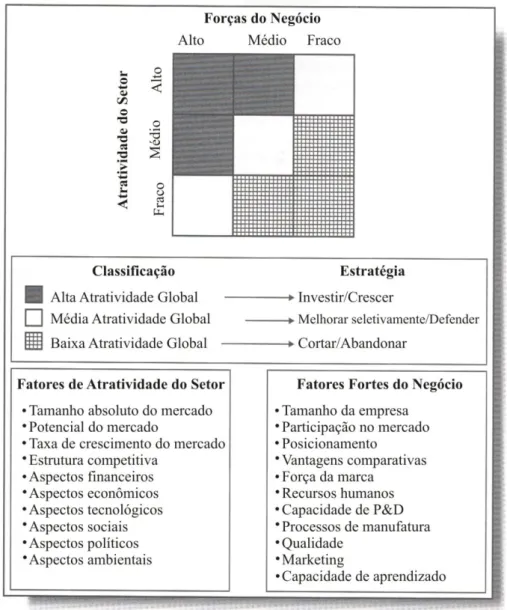 FIGURA 5  –  Cenário de negócio da Matriz GE 