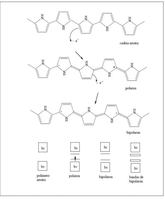 Figura  3.13:  Oxidação  do  polipirrol  e  a  criação  dos  estados  de  polaron  e  bipolaron [73]