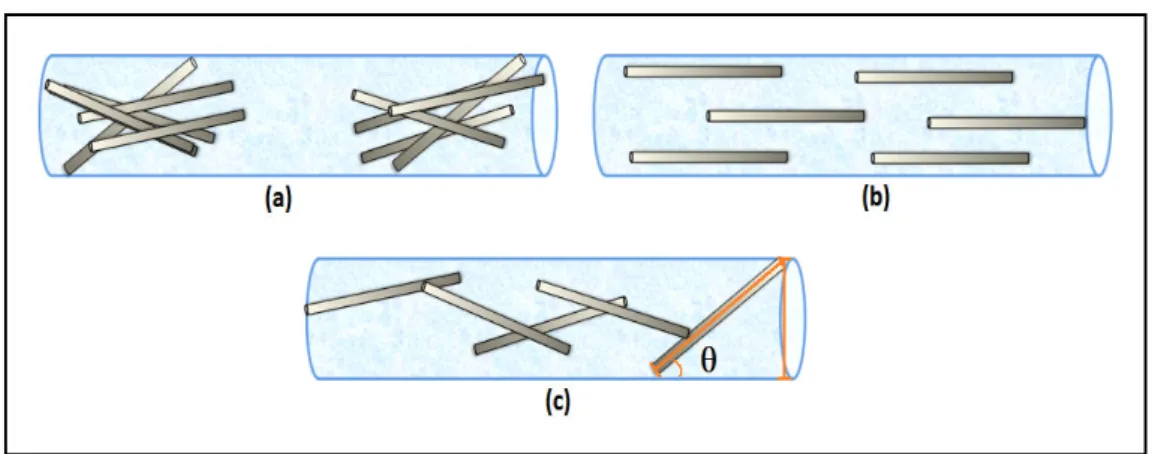 Figura  3.24:  Possíveis  disposições  das  nanocargas  (NTC  e/ou  nanofibras  metálicas) nas nanofibras eletrofiadas