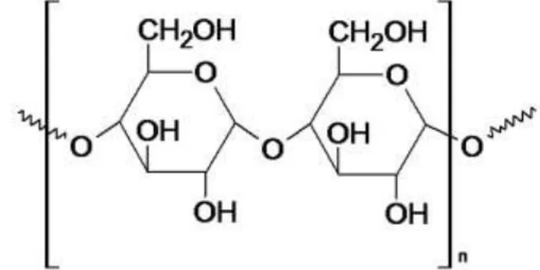 Figura 2. Estrutura química do amido [64]. 