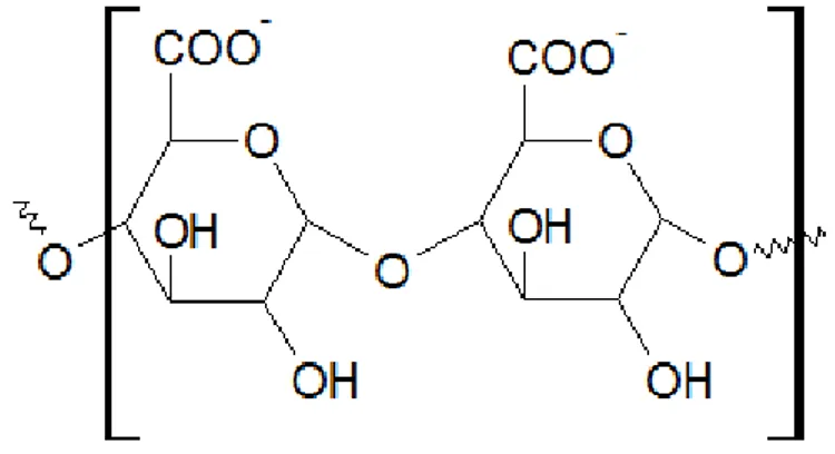 Figura 3. Estrutura química da pectina [64]. 