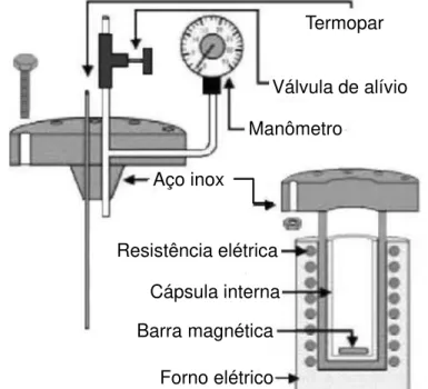Figura 6. Representação esquemática do sistema de hidrotermalização [80]. 
