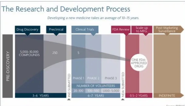Figura  6  -  Cronologia  da  investigação  e  desenvolvimento  de  um  novo  medicamento 