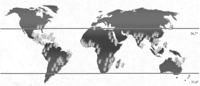 Figura 3: Distribuição da cana - de - açúcar no mundo (Adaptado de UNICA, 2012).